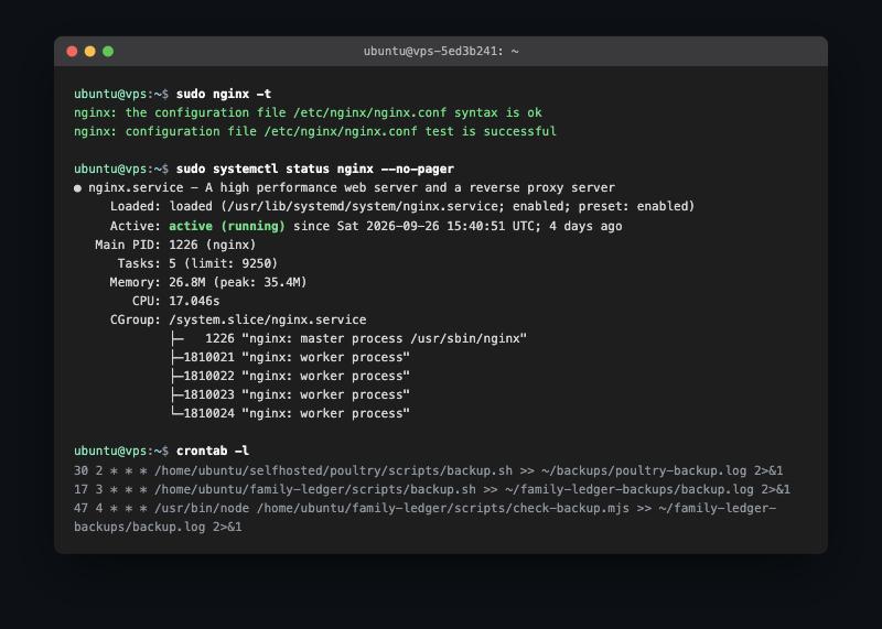Checking the Nginx config, service status, and the cron jobs that run my backups